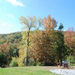 Guests are invited to use the grill