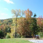 Guests are invited to use the grill