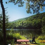 Enjoy a quiet picnic by the pond