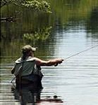 Fly fishing on Greenwater Pond